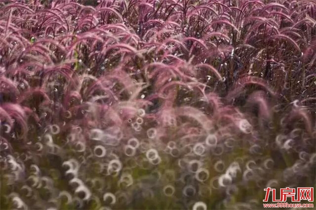 巨变狂卷!大局已定!3914亿砸向龙岩!向全世界发出邀请 未来属于龙岩!——九房网 巨变狂卷!大局已定!3914亿砸向龙岩!向全世界发出邀请 未来属于龙岩!——九房网