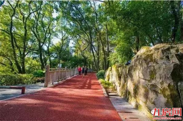 巨变狂卷!大局已定!3914亿砸向龙岩!向全世界发出邀请 未来属于龙岩!——九房网 巨变狂卷!大局已定!3914亿砸向龙岩!向全世界发出邀请 未来属于龙岩!——九房网