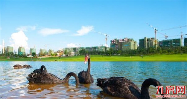 只想好好“氧你”,紫金山天然氧吧官宣!——九房网 只想好好“氧你”,紫金山天然氧吧官宣!——九房网