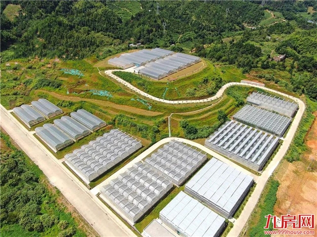 厦门房产,厦门房地产,厦门新房,九房网,厦门房产