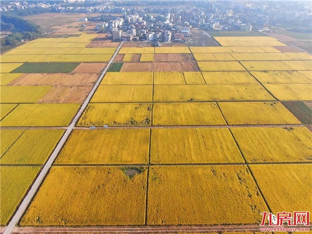 厦门房产,厦门房地产,厦门新房,九房网,厦门房产