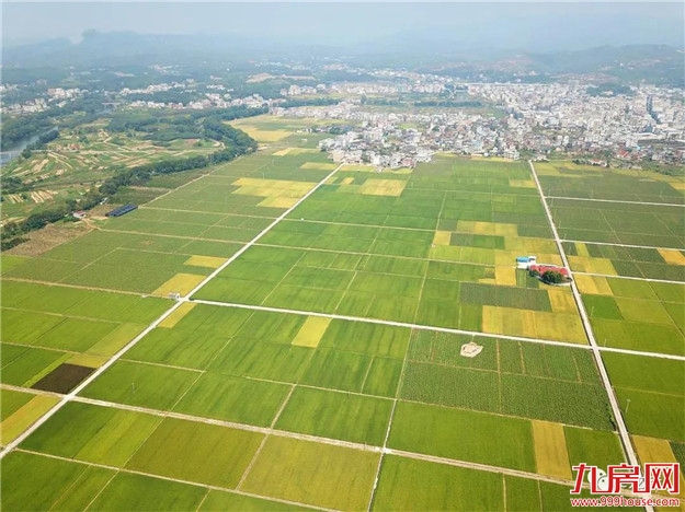 厦门房产,厦门房地产,厦门新房,九房网,厦门房产
