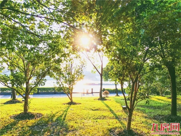 与美好相逢丨三园环绕,演绎生态人居之美——九房网 与美好相逢丨三园环绕,演绎生态人居之美——九房网