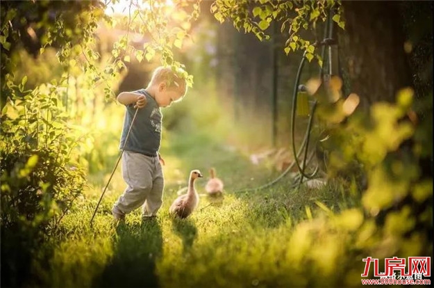 与美好相逢丨三园环绕,演绎生态人居之美——九房网 与美好相逢丨三园环绕,演绎生态人居之美——九房网