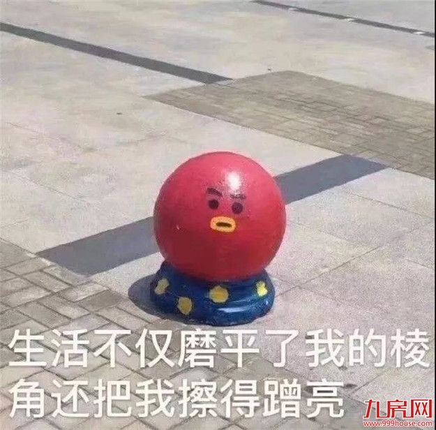 颤抖!2020年福建各市最新平均工资和房价表曝光!你能在哪个城市买房?——九房网 颤抖!2020年福建各市最新平均工资和房价表曝光!你能在哪个城市买房?——九房网