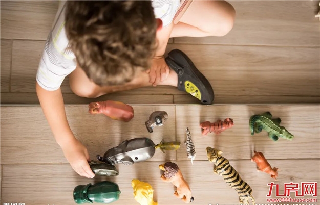 远洋山水美好生活解密——会客厅篇——九房网