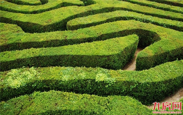 关注 | 定了!龙岩北城片区谢洋公园、张白土公园规划出炉——九房网 关注 | 定了!龙岩北城片区谢洋公园、张白土公园规划出炉——九房网