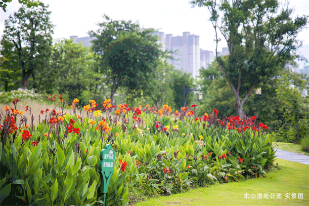 房参丨龙岩理想人居报告:好房子该长啥样?——九房网 房参丨龙岩理想人居报告:好房子该长啥样?——九房网